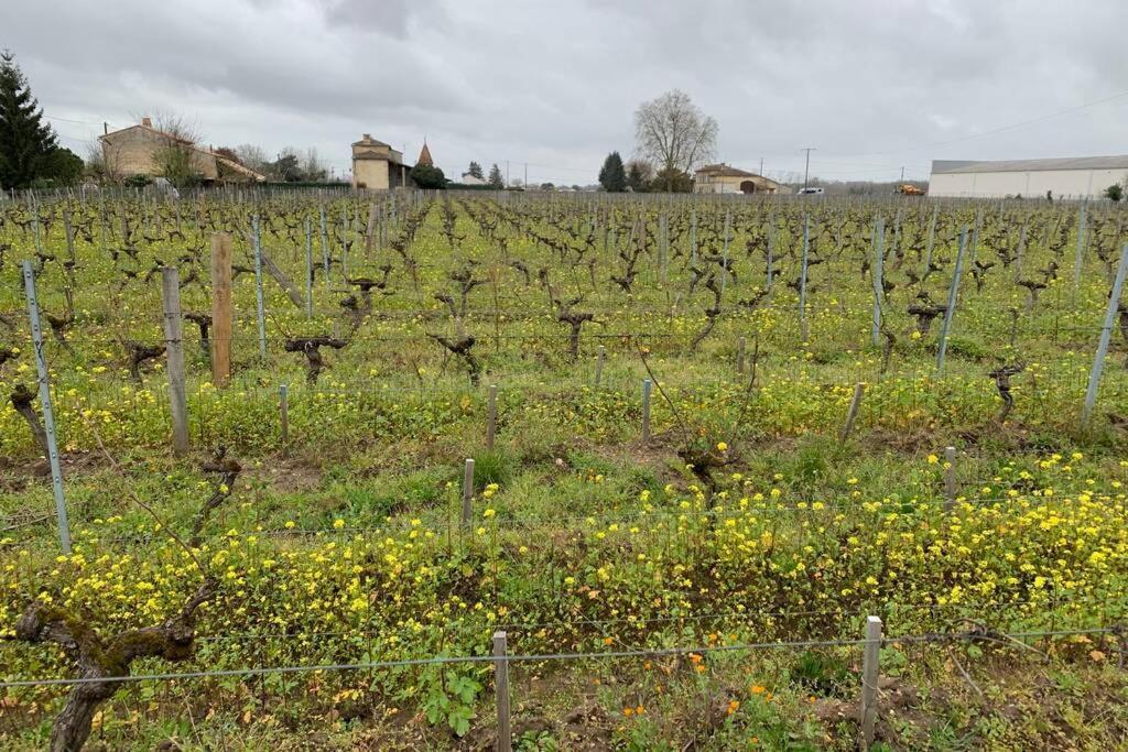 Chateau Roseyrol Proche Saint-Emilion Zewnętrze zdjęcie