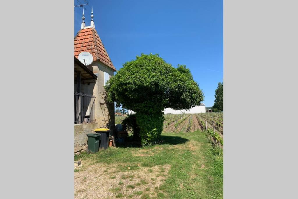 Chateau Roseyrol Proche Saint-Emilion Zewnętrze zdjęcie