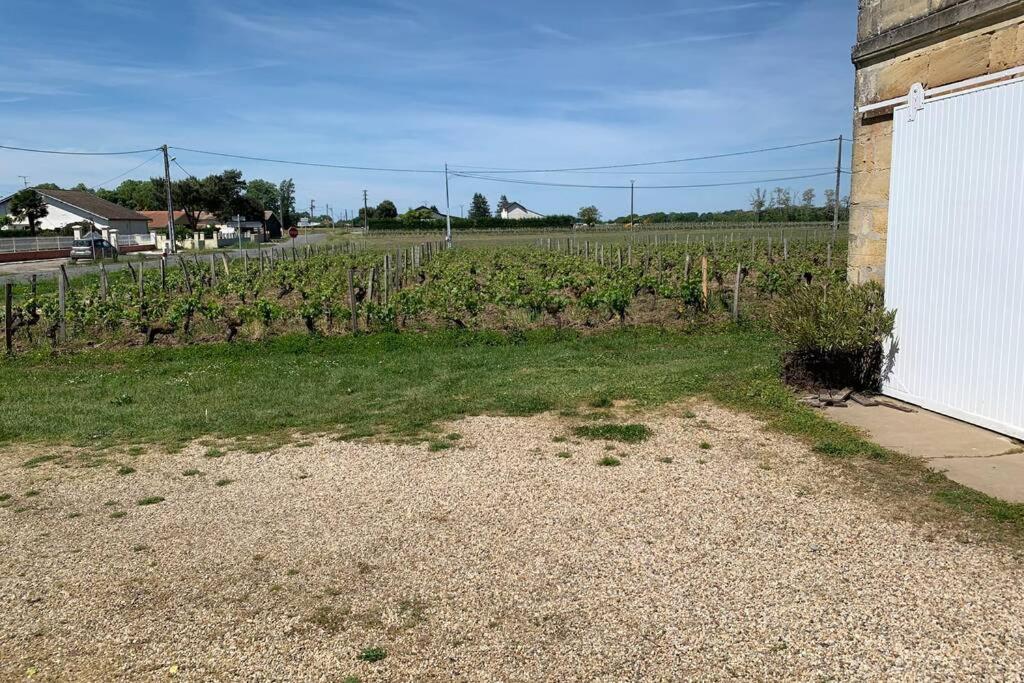 Chateau Roseyrol Proche Saint-Emilion Zewnętrze zdjęcie